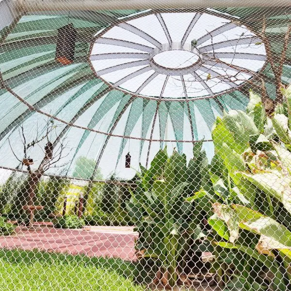 Hebei Longen Supply Wire Mesh for Parrots OEM Steel Rope Mesh Protecting Mesh Woven Protection Plain Weave Customizable CN;HEB photo-6
