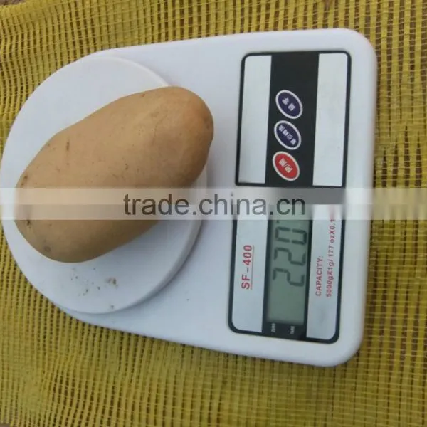 Chinese Fresh Potato Prices
