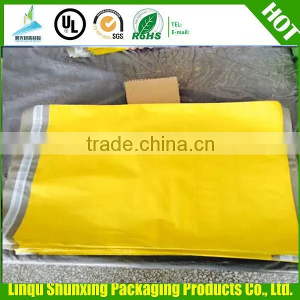 Express Carrier Plastic Envelope Bags /coin Bag/bank Bag photo-5