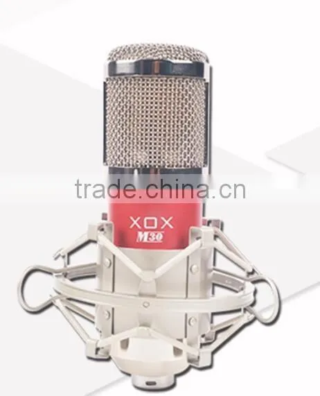 Professional Diaphragm Condenser Microphone for High Standard Recording photo-3