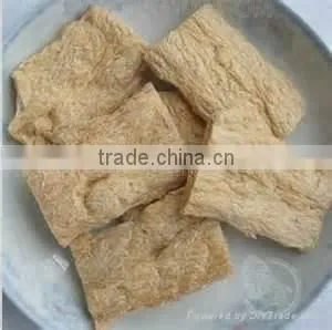 Pea Nut Protein Machinery photo-4