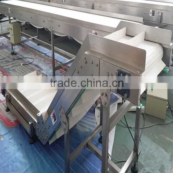 Small Belt Lifting Conveyors for Different Industries photo-2