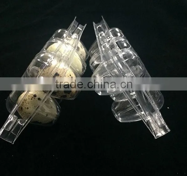 Wholesale Disposable Quail Egg Tray for 6/12/18/20/24/30 Qua photo-2