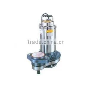 submersible axial flow pump