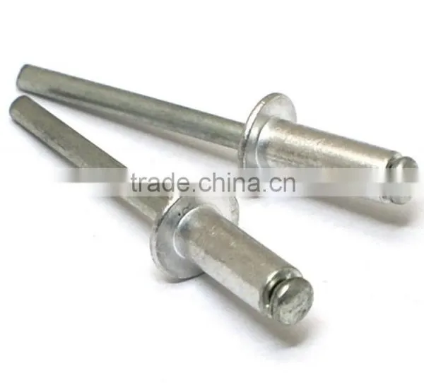 China Manufacture&exporter&supplier Wrought Iron Rivet photo-3