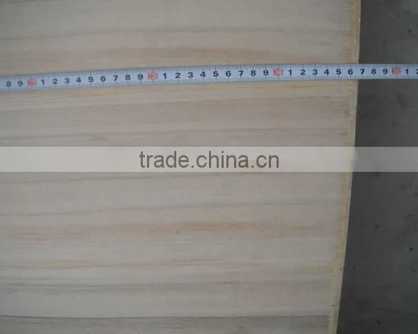 High Quality Plywood Door Price/18mm Plywood/bamboo Plywood photo-5