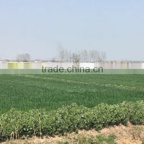Professional 10L 6 Rotor UAV Load Crop Agricultural Irrigation Agricultural Pesticide Sprayer Drone Sprayer photo-5