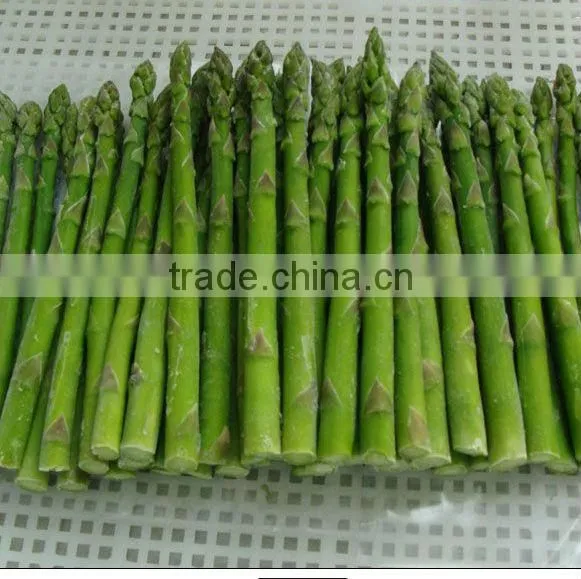 IQF Frozen Green Asparagus Price