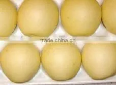 Golden Pear photo-2