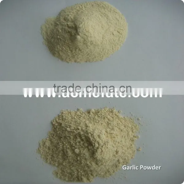 Single Spices Fresh Granulated Garlic photo-3
