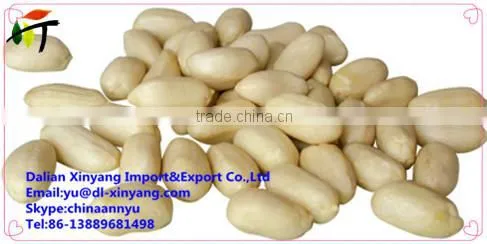 New Crop Blanched Peanut photo-2