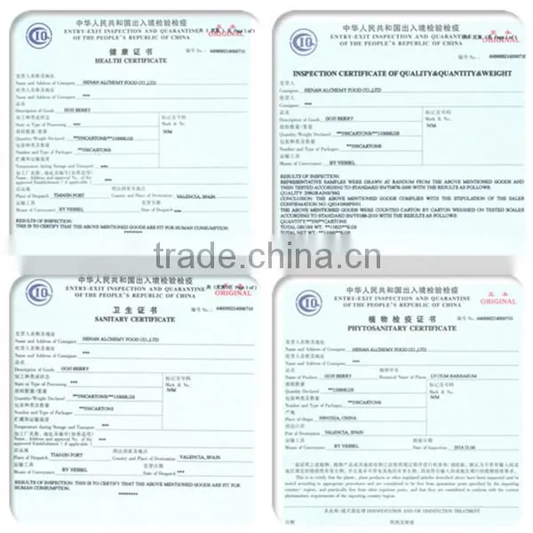 Chinese Walnut Kernel for Hot Sale and With Good Quality and Free Sample for You photo-6