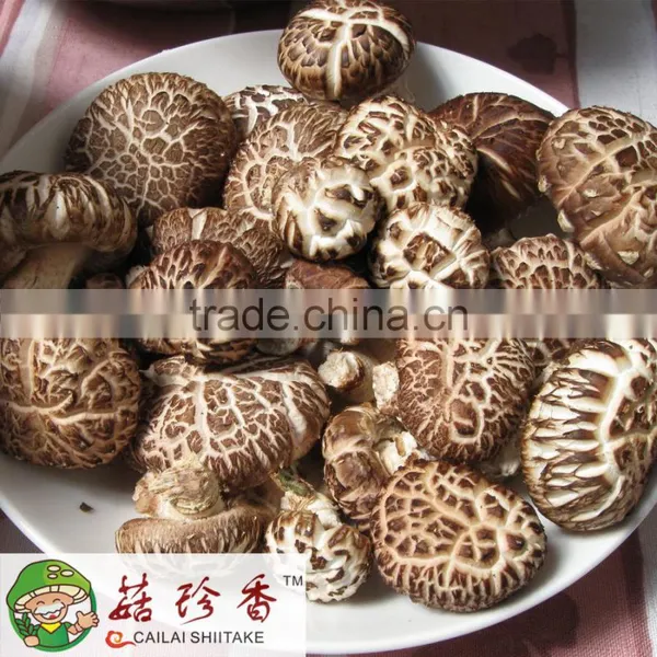 Export Price For Dried Organic Shiitake Mushroom 1kg photo-3