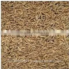 Black Cumin Seed Oil photo-2