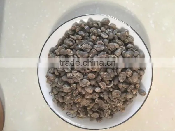 Arabica Green Coffee Beans photo-3