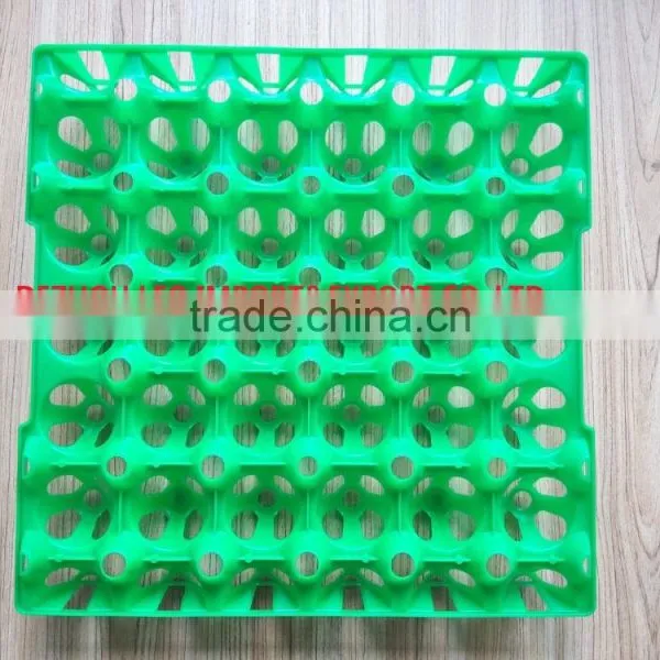 China High Quality Plastic Egg Tray for 30 Chicken Eggs photo-4