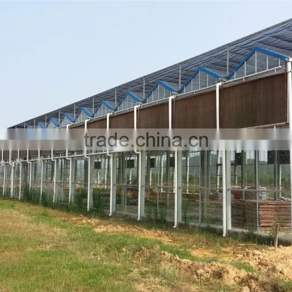 5090 Foshan Evaporative Cooling Pad Cooling System for Greenhouse Poultry Farm photo-5