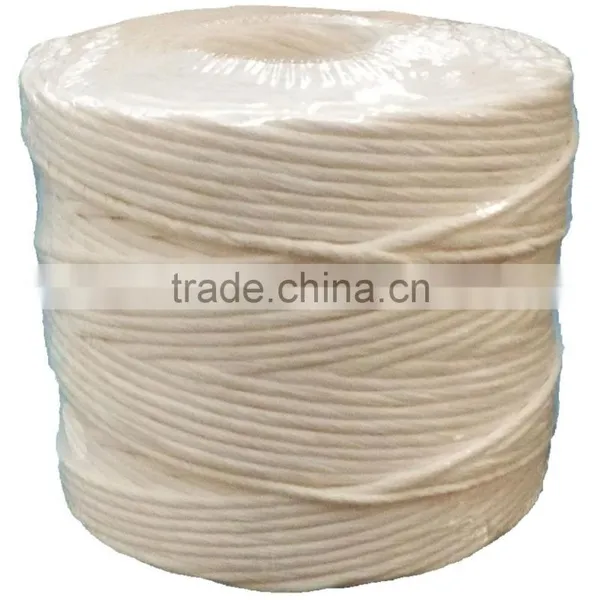 Twist Rope Type and Polypropylene Baler Twine for Sale photo-6