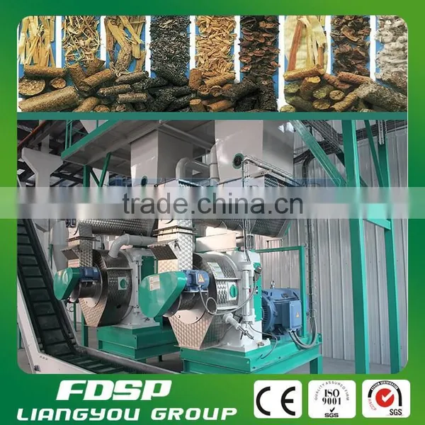 Corn Stalk Granulator Plant Biomass Granule Production Project photo-6