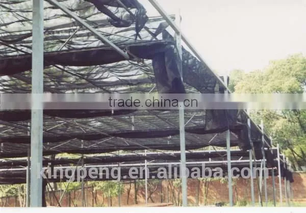Insect Net Covered Shade House photo-2