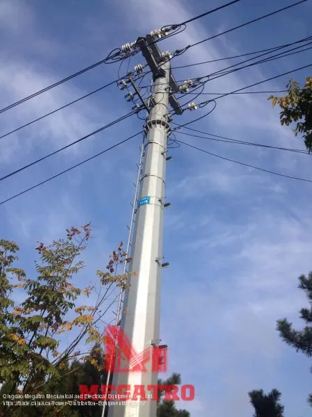 10kv Distribution Momopole photo-5