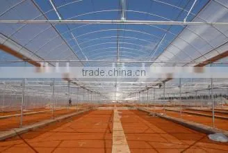 Single-Span Agricultural Planting Plastic Greenhouse photo-5