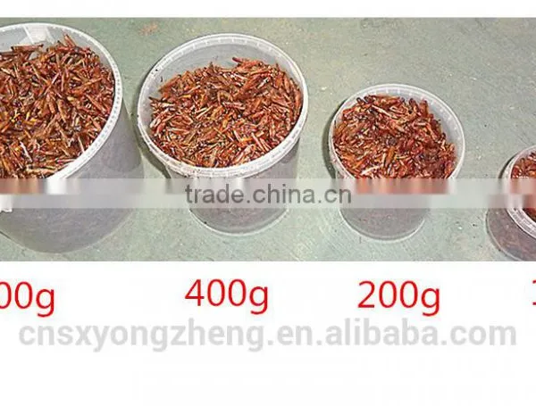 Drum(100g) Packed Freeze Dried Crickets For Wild Bird ;Dried Cricket For Bird photo-2