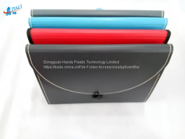 2017 New Design Modern Hot Selling A4 PP Foam Expanding File photo-5