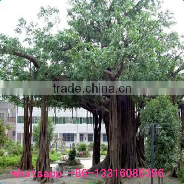 LXY081903 Large Outdoor Artificial Trees Plastic Banyan Tree Foliage Plants Cheap Artificial Tree
