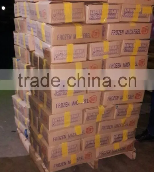 Frozen Fresh Fish Frozen Bonito for Export photo-2