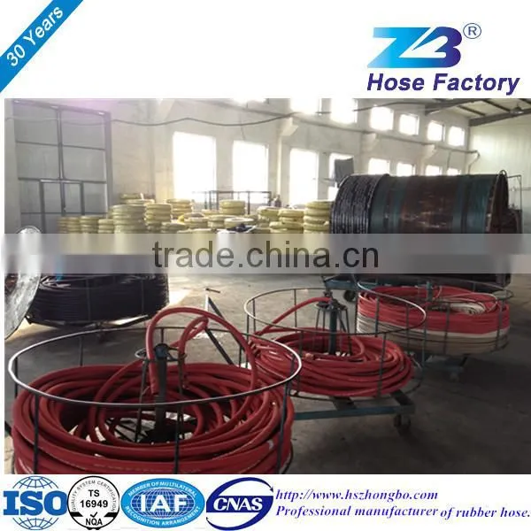 Steam Flexible Hose photo-6