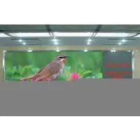 Sell LED Indoor Display