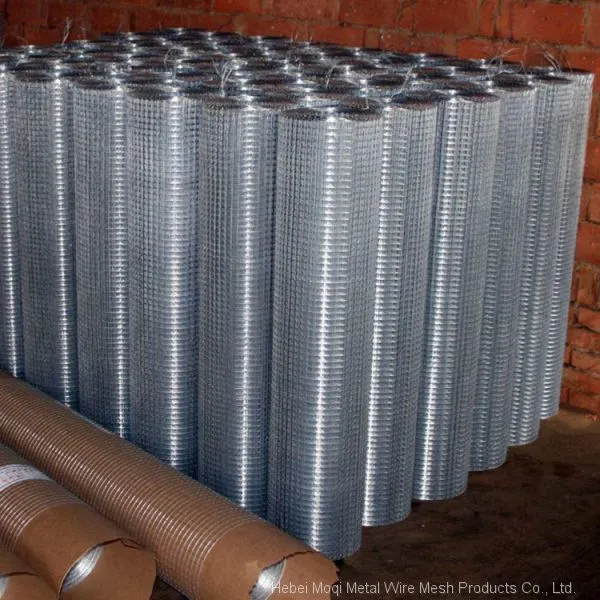 Cheap Price 10x10 10 Gauge Hot Dipped Galvanized Welded Wire Mesh photo-2