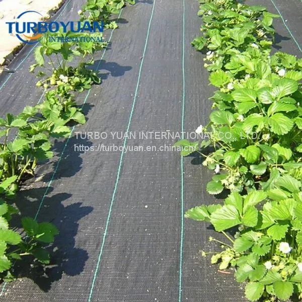 Garden Line Weed Control Cover / Flower Landscape Ground Cover photo-4
