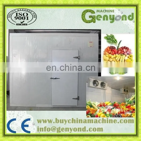 Apple/banana/orange/lemon Cold Storage,Cold Storage Room for Sale photo-3