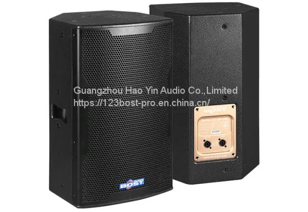 10 Inch 2 Way Stage Loudspeaker BP-12 photo-2