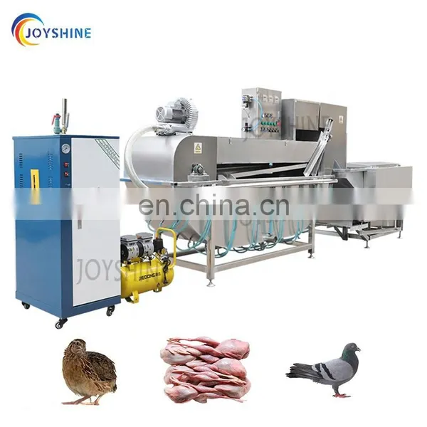 Good Performance Poultry Plucking Machine Slaughter Equipment for Chicken Scalding and Plucking Equipment photo-2