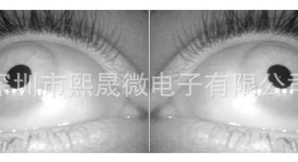 USB 2.0 High Frame Rate Camera photo-5