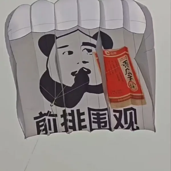 OEM All Shapes, Design and Kinds of Kites for Advertising and Activities Occasions photo-2