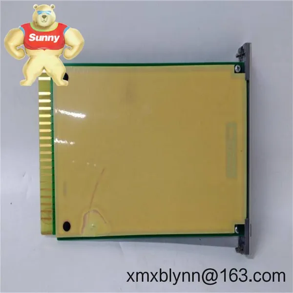 Schneider Electric XV9738a HEIE450617R1 Analog Input Module for Precision Process Control photo-3