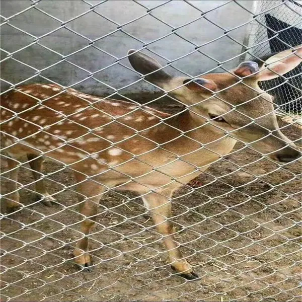 Ultra-Corrosion-Resistant Chain Link Fence With 3mm Thick Frame for High-Security Areas photo-2