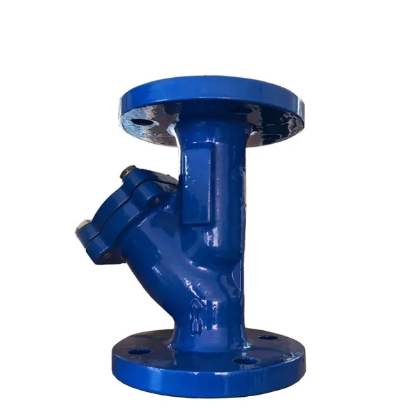 Factory Direct DIN Standard Cast Iron Flanged Y Type Strainer photo-3