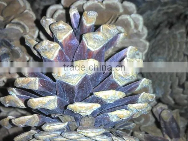 Christmas Tree Decoration Pine Cone photo-2