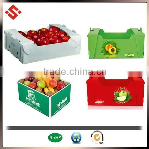 2015 Corrugated PP Plastic Vegetable Tray photo-2