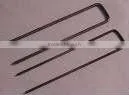 Wire Staple