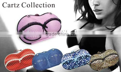 Fashion Eva Ladies Bra Travel Bag