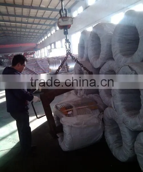 Hot Dipped Galvanized Wire photo-5