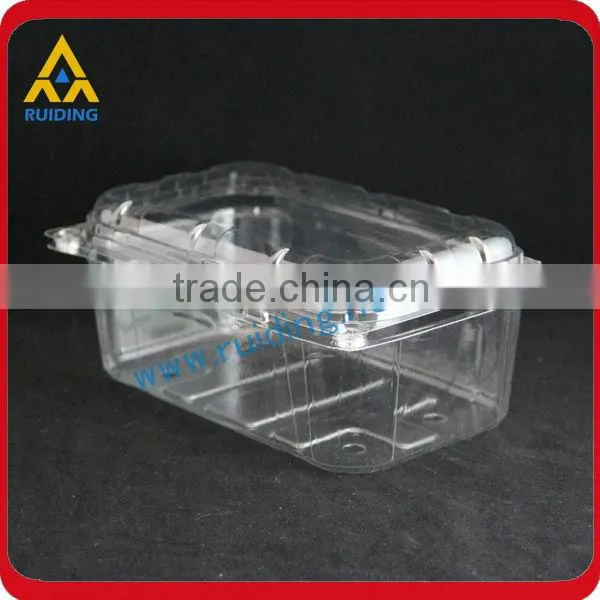 Disposable PET Packaging for Fresh Fruit