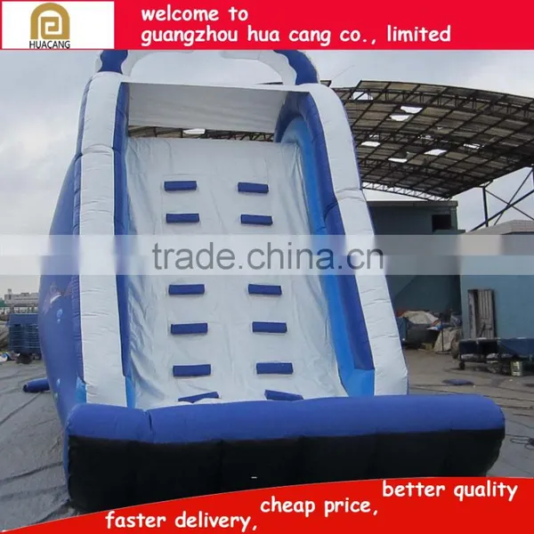 2016 China Funny Giant Inflatable Slide/titanic Inflatable Long Slide With Large Pool photo-5