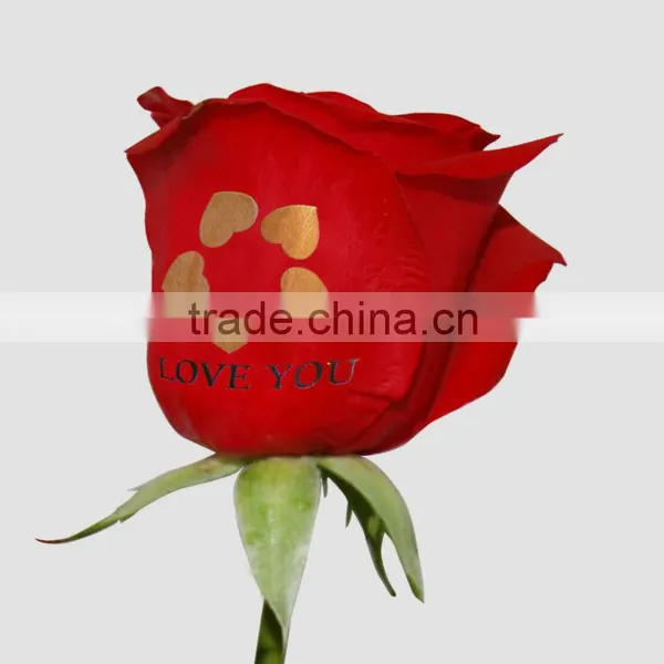 Red Rose Flower Printer_Unique photo-2